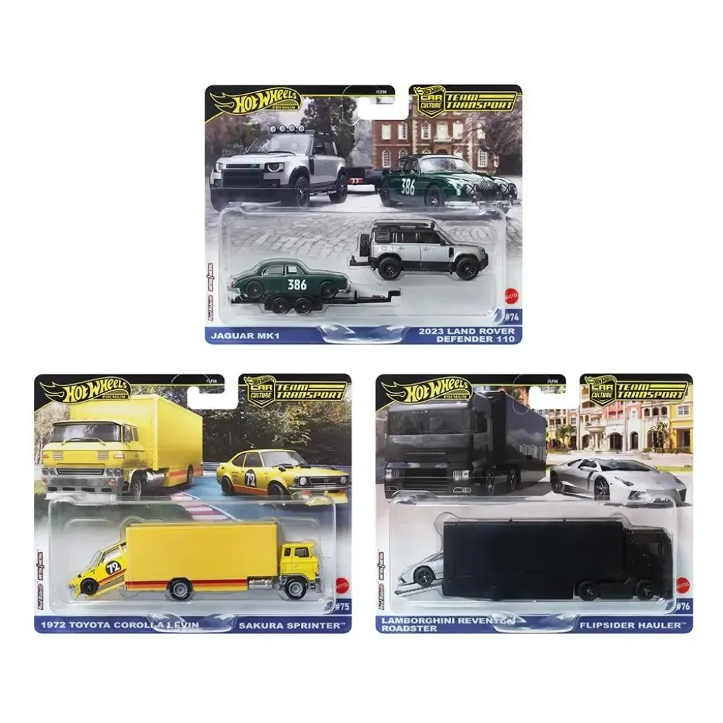 Hot Wheels Team Transport 2025 Mix 1 3lü Set